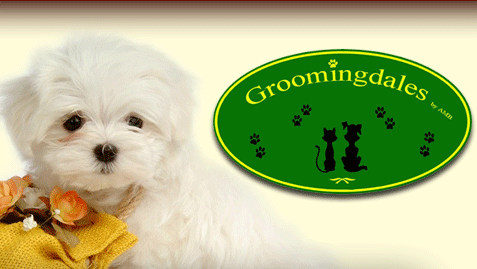 Groomingdales pet store